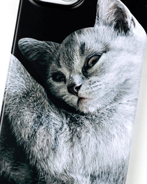 에밀리 귀여운 고양이 러시안블루 하드 핸드폰 빈티지 감성 일러스트 집사 커플 휴대폰 아이폰케이스 X XR XS 11 12 13 14 미니 플러스 프로 맥스